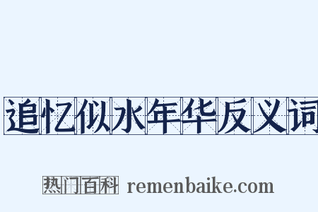 追忆似水年华反义词是什么意思的图片